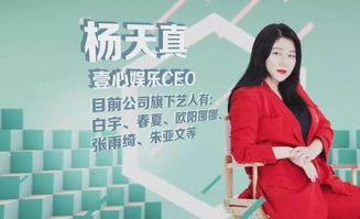 营销与人设的双重困境 欧阳娜娜的转型挑战与杨天真的营销反思